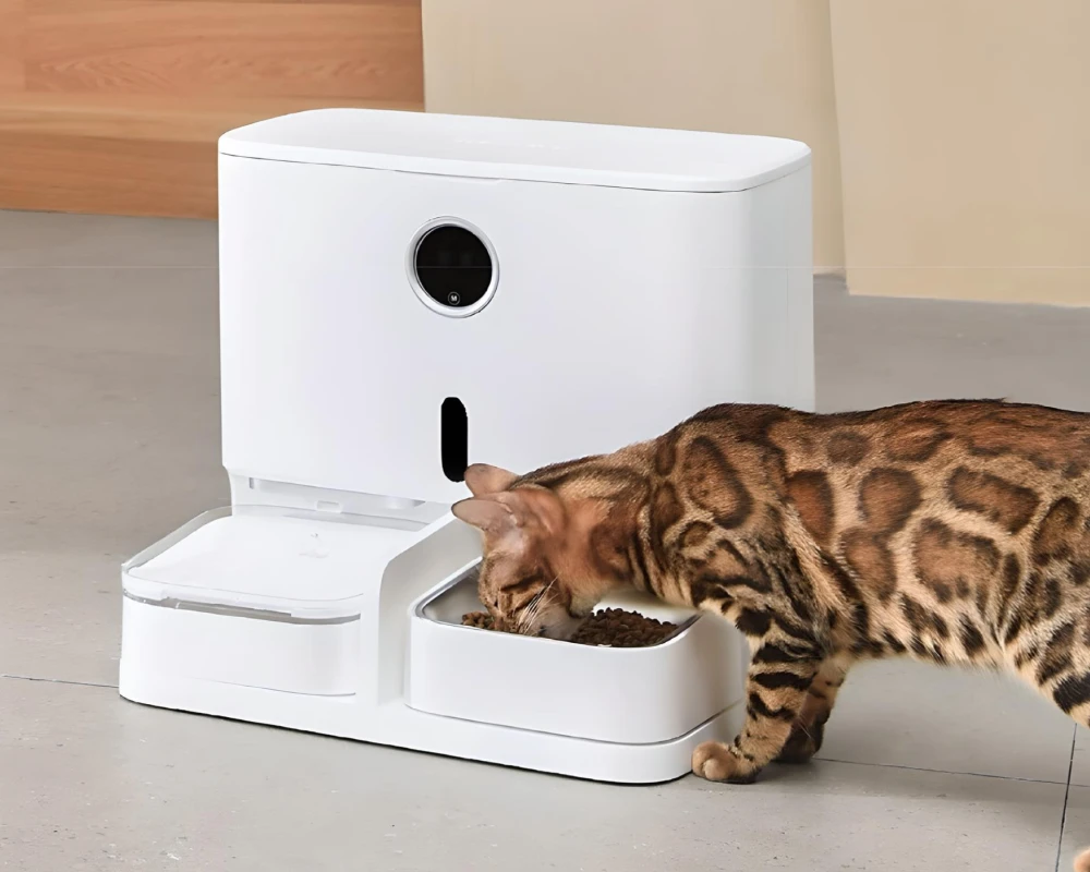 pet food dispenser automatic